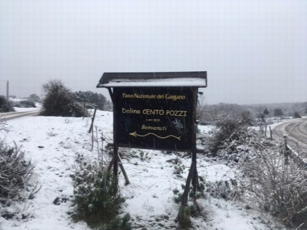 In attesa del gelo siberiano torna la neve sul Gargano e Monti Dauni