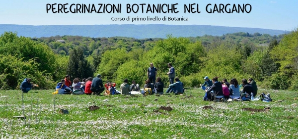 Tornano le Peregrinazioni botaniche, camminate alla scoperta del Gargano