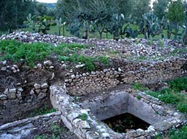 EVOLUZIONE DEGLI ANTICHI INSEDIAMENTI URBANI DEL GARGANO. IL SITO PARTICOLARE DI MERINO